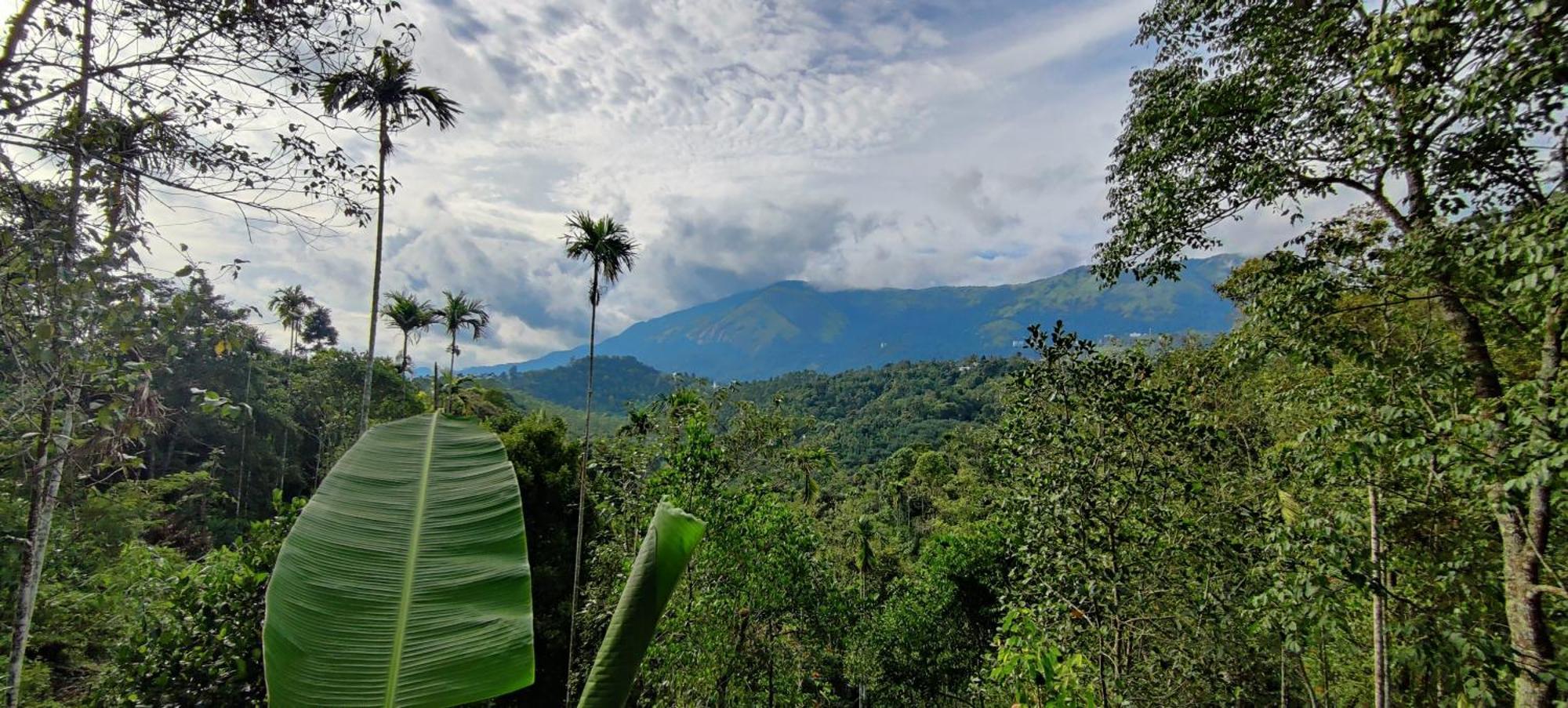 Chalona Hill View Hotel Munnar Bagian luar foto