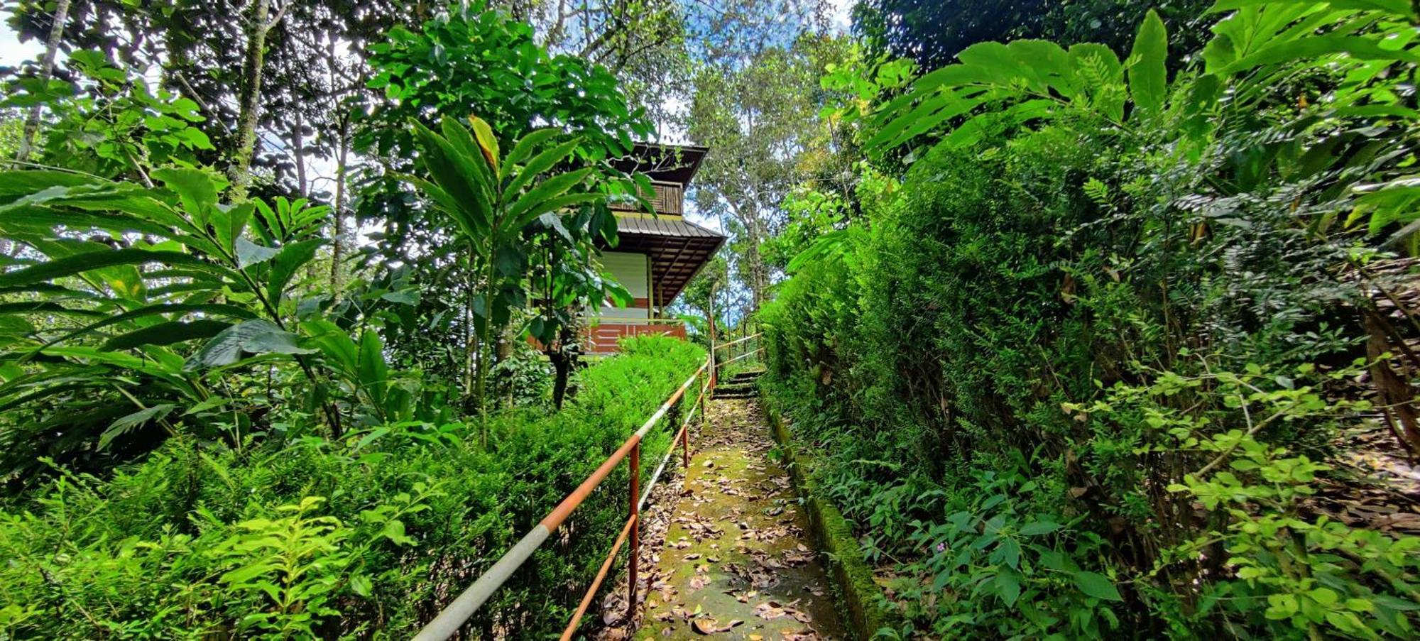 Chalona Hill View Hotel Munnar Bagian luar foto