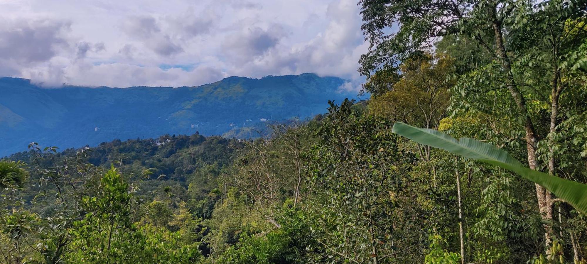Chalona Hill View Hotel Munnar Bagian luar foto