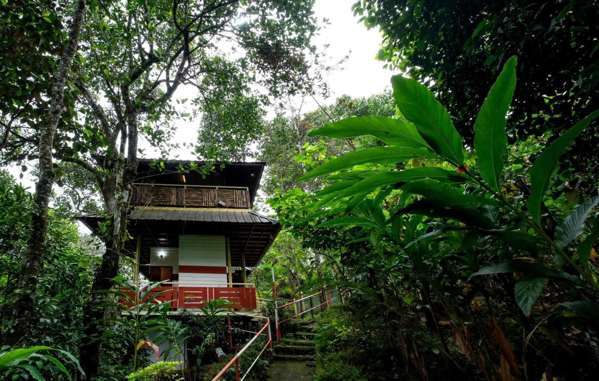 Chalona Hill View Hotel Munnar Bagian luar foto